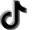 TikTok icon